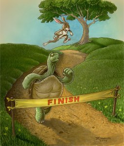 The tortoise and the hare